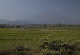 farming scenes