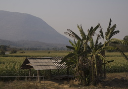 farming scenes