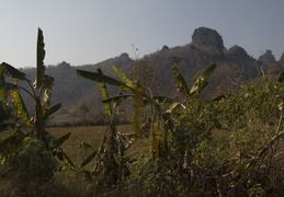 farming scenes