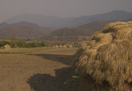 farming scenes