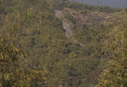 twisty road in the hills