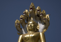 Buddha