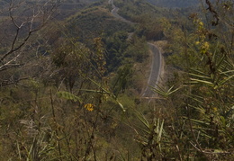 winding road in the distance