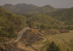 more twisty roads in the hills