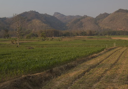 farming scenes