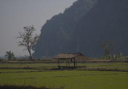 farming scenes