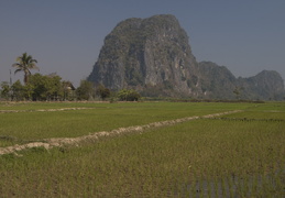 farming scenes