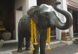 elephant & flowers