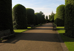 Kensington Garden