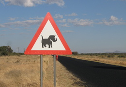 Warthog warning