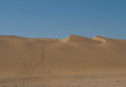 Sandboarders hiking up the dunes