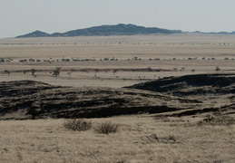 Canyons in the Namib