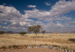 Namibian desert