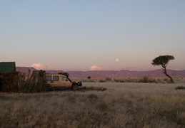 Land Rover & tree at the Little Sossus Lodge