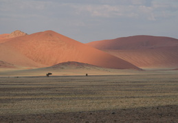 Sossusvlei dunes