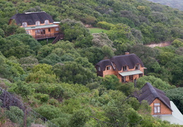 houses on the hill