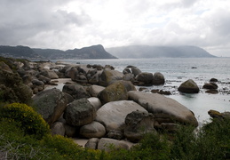 Boulders Beach, S. Africa