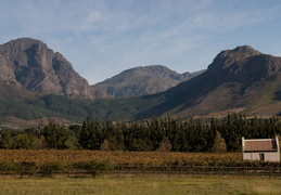 Franschhoek vineyards & mountains