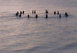 fishing at sunset