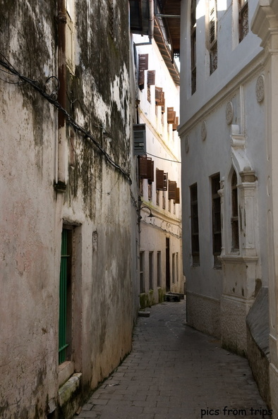 2008d36c0022.jpg