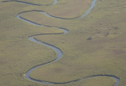 River & Marshes