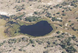 Watering hole