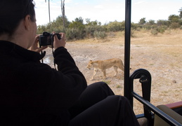 Meghan & the Lioness