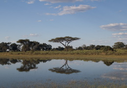 Okavango Delta