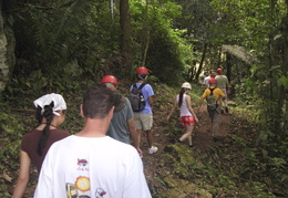 hiking through the jungle