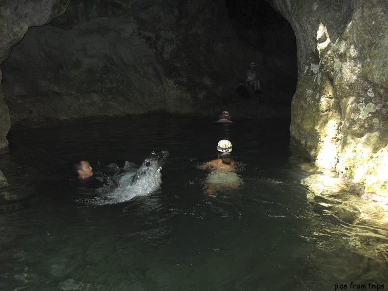 2008d10c077.jpg