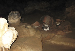 Mayan artifacts