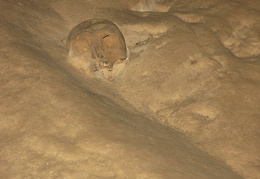 skull