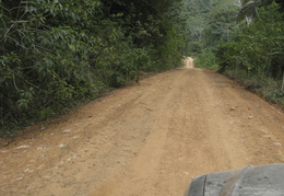 road through the jungle