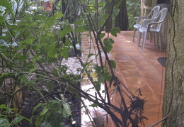 room at the Jaguar Paw Lodge