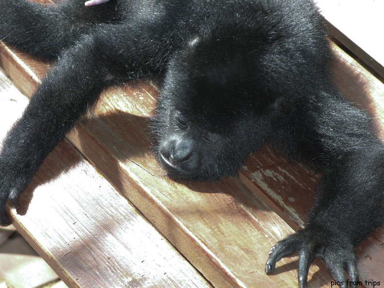 2008d08c042.jpg
