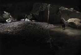 entrance to the cave