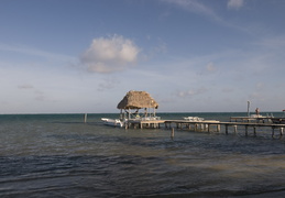 Caye Caulker pier