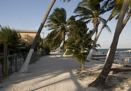 Caye Caulker street