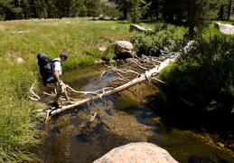 crossing the stream