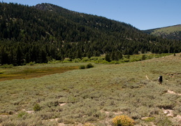 heading towards our campsite