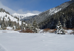 Idaho mountain vista