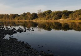 American River near Sacramento