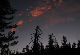 Sunset and Trees