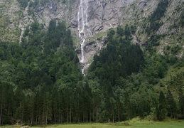 Waterfall and trees