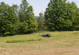 mowing the lawn - Clinton style