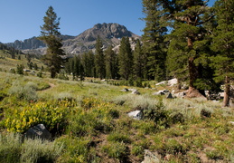 roundtop peak