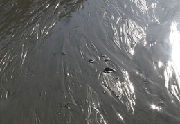 water flowing to the beach