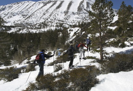 traversing a hillside