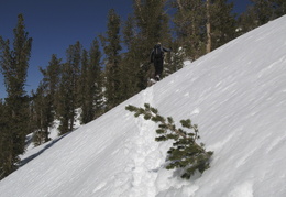 Jim ascends in search of some turns