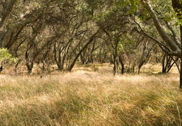 along the waterfront of the American River